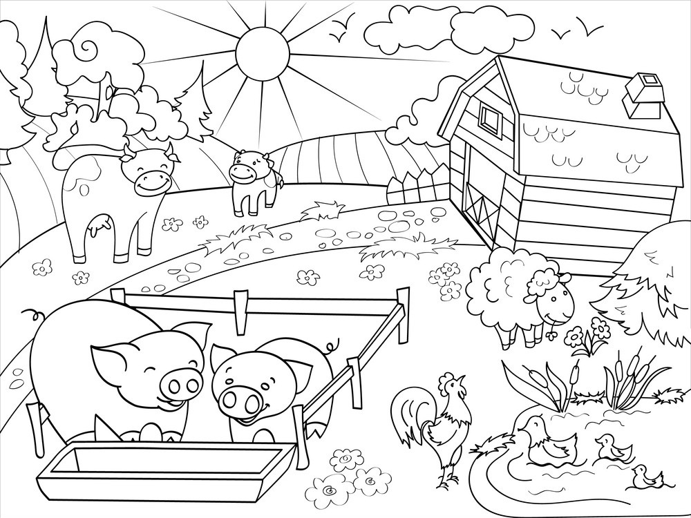 Rural Landscape