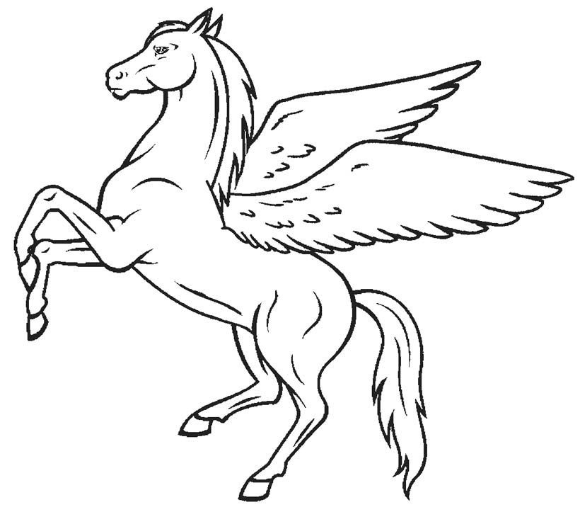 Pegasus